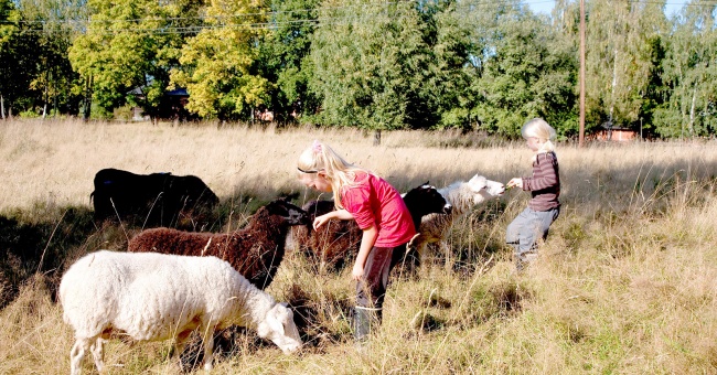 Luonto treenaa immuniteettia